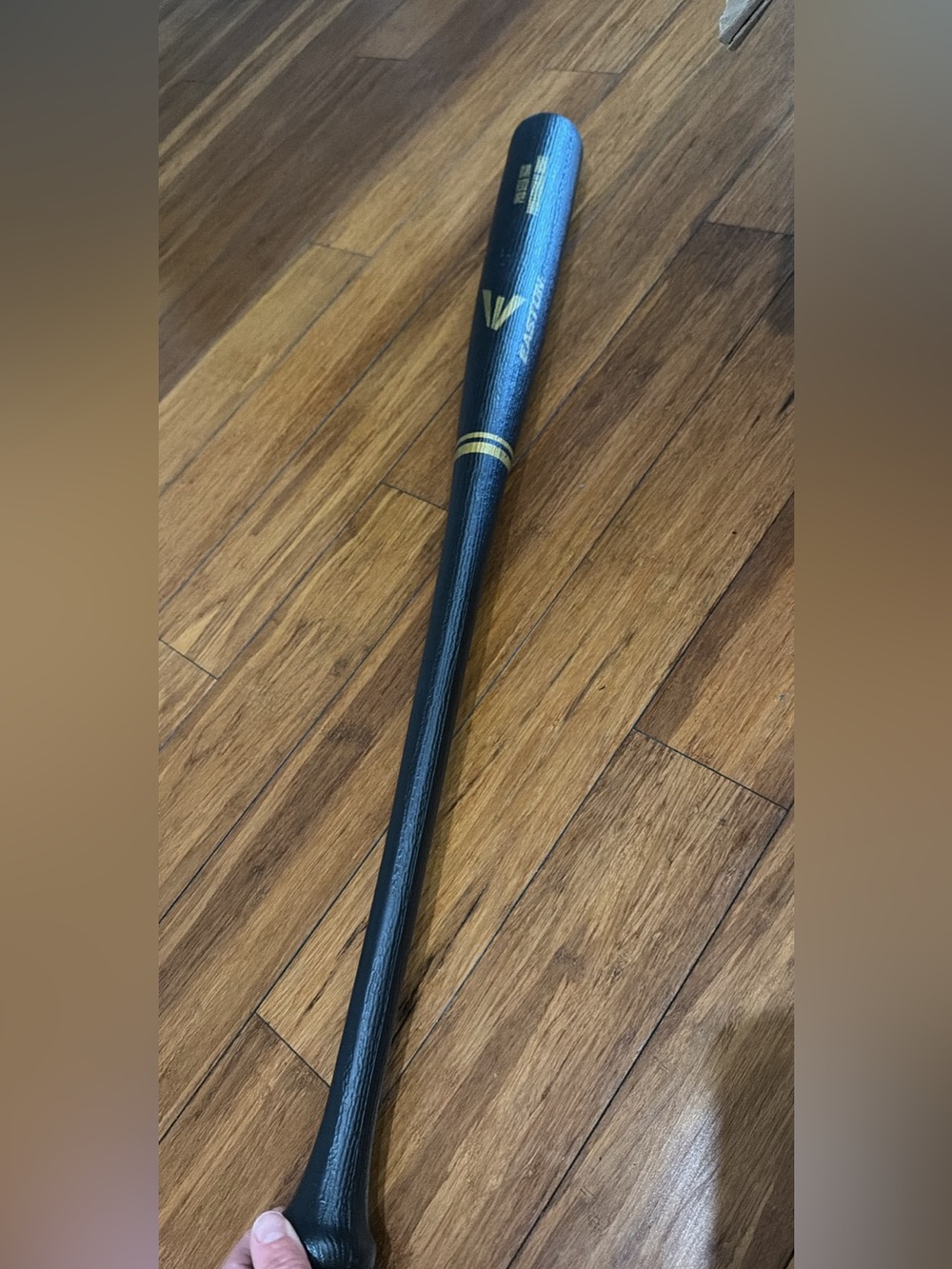 Easton Pro Stix 1000 plastic training bat